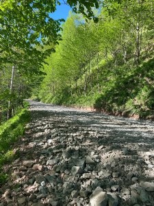 YOL BAKIM VE ONARIM ÇALIŞMALARI